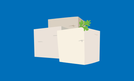 Cartoon feta cheese blocks