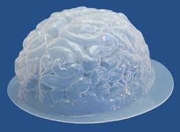Plastic gelatin mold of the human brain