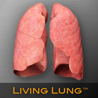 Living Lung