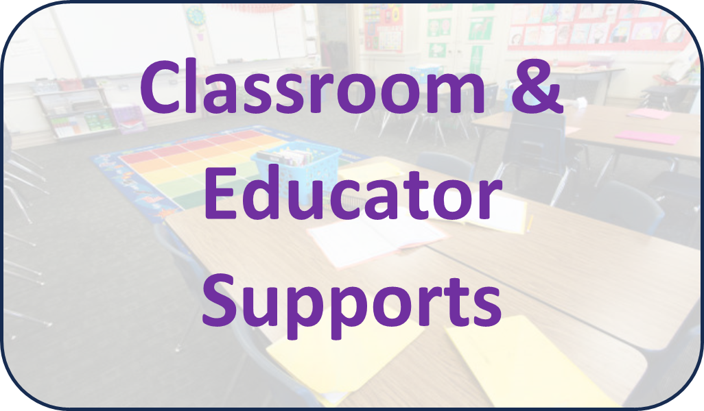 Classroom and Educator Supports