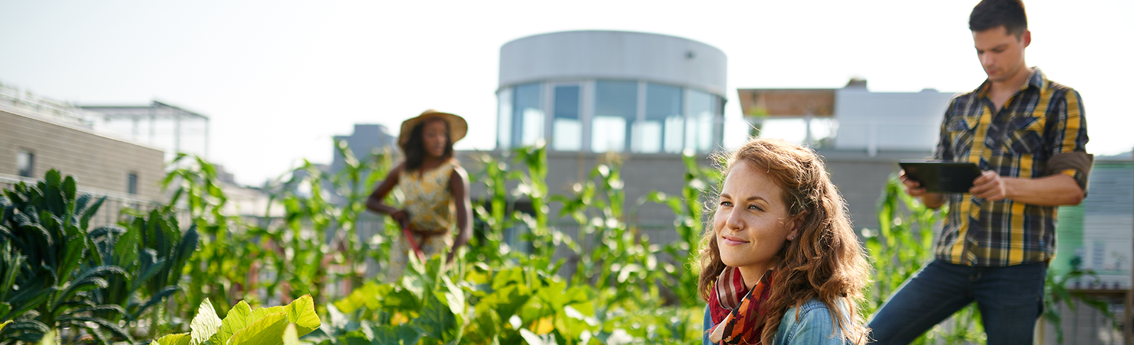 People working in a garden, lady in focus man to the right and women in the far back.
