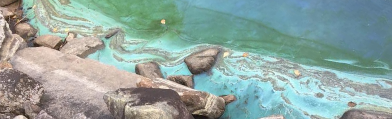 Blue-green water on rocky shoreline
