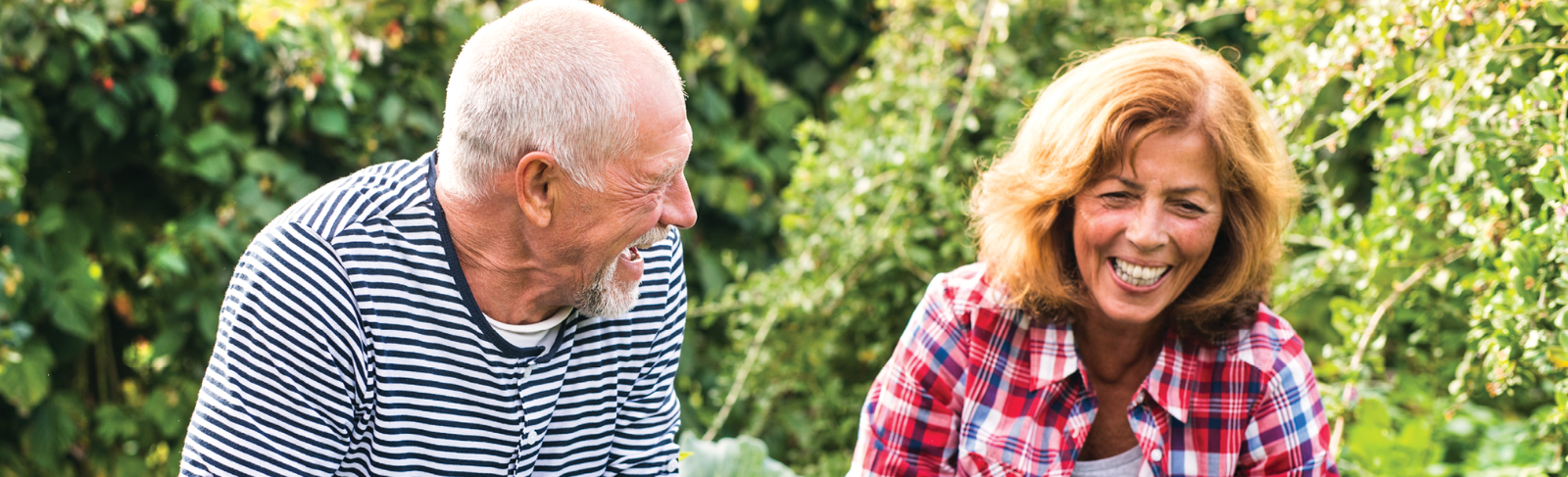 Happy older adults gardening together
