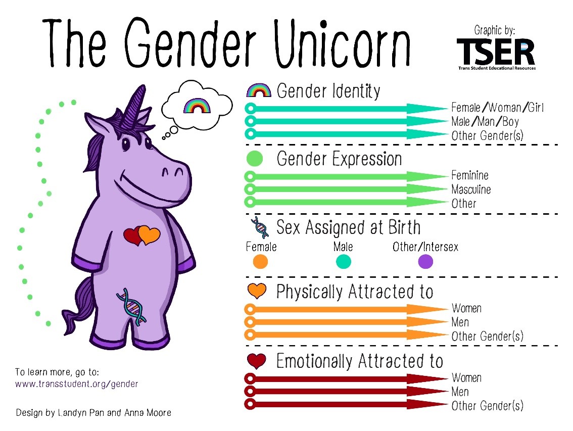 cartoon purple unicorn infographic depicting definitions of gender identity gender expression sex assignment physical and emotional attraction