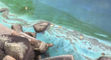 Blue-green water along rocky shoreline
