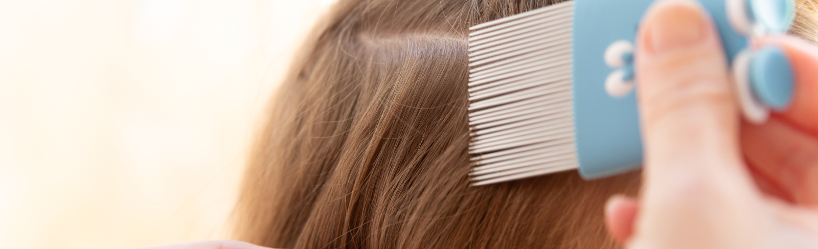 Image of a child's hair being combed to check for lice