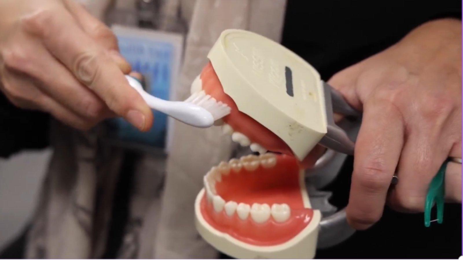 Close-up image of a toothbrush being used to brush the teeth of a plastic mouth replica