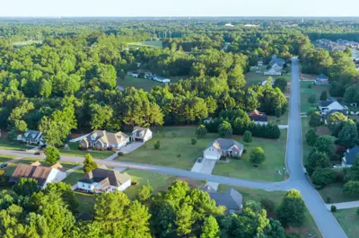 Aerial view of a neighborhood with many healthy trees