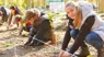 Youth and adults planting trees 