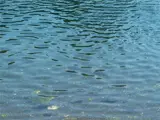 Blue-Green beach water