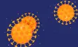 Cartoon-like virus molecules