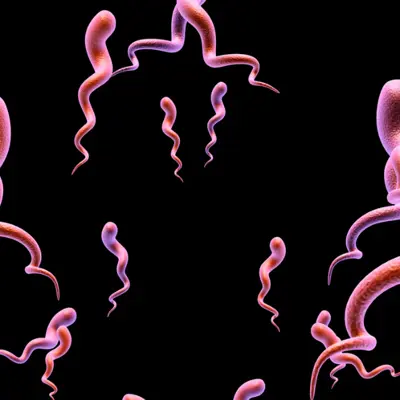 Syphilis