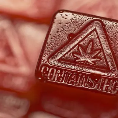 Square shaped cannabis gummy