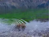 Shallow blue-green lake water